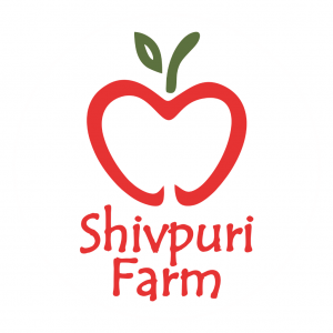 SF Logo