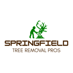 Springfield Tree Removal Pros Provides Professional Tree Removal Services in Springfield, Missouri