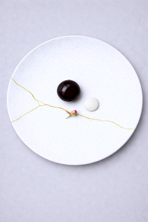 11 Pampepato Sheep Sirene Rose