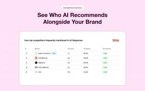 Competitors Overview in Track My Visibility