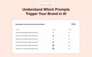 Prompt Level Insights