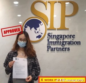 immigration advisory consultation singapore
