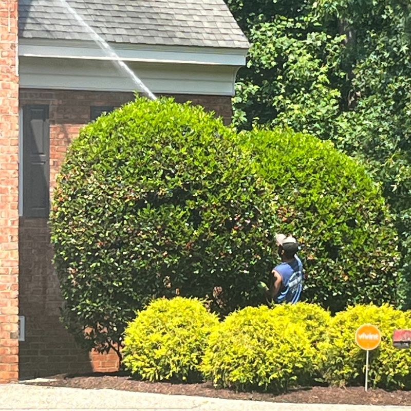 Doctor Clean Williamsburg VA House Washing Service Doctor Clean Williamsburg VA House Washing Service