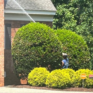 Doctor Clean Williamsburg VA House Washing Service