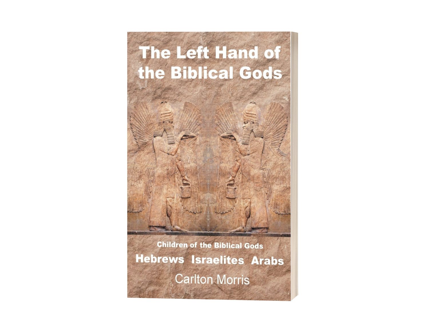 The Left Hand of the Biblical Gods Explores Alternate Perspectives on Scripture and Religious Tradition