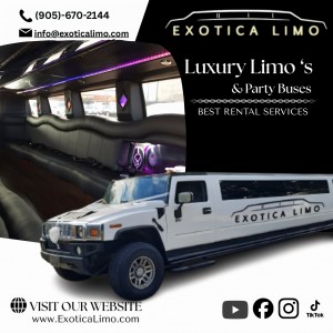 585558572 122247944726258200 6361584342832991879 n