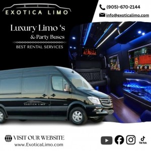 585602990 122247460820258200 2103135529466073424 n