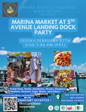 First Dock Party in a summer series 