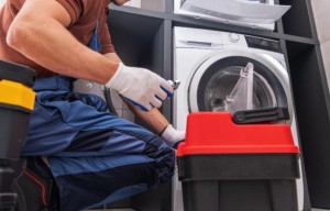 WhatsApp Image 2026 02 16 at 4 20 41 PM