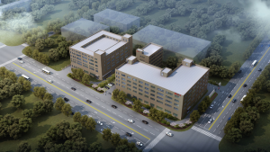 Technical Review: Why BEISIT is the Premium Stainless Steel Cable Gland Manufacturer for Marine Environments