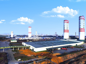 Strategic Foundation and Industrial Synergy