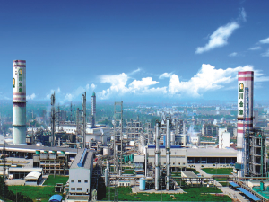 Identifying Excellence