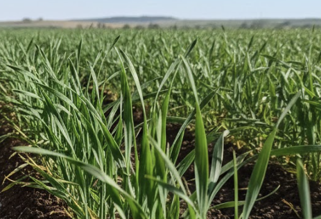 A Partnership for Sustainable Growth