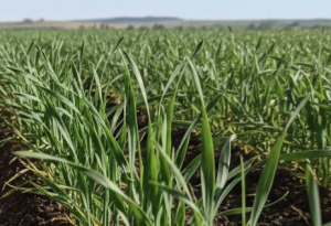 A Partnership for Sustainable Growth