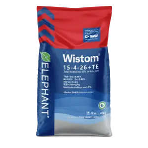 WISTOM Stabilize Long Lasting Compound Fertilizer
