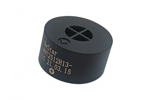 Electromagnetic buzzer pin type