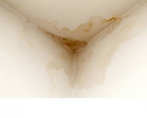 Damp Proofing service