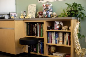 Chiropractor near you - Fullerton CA