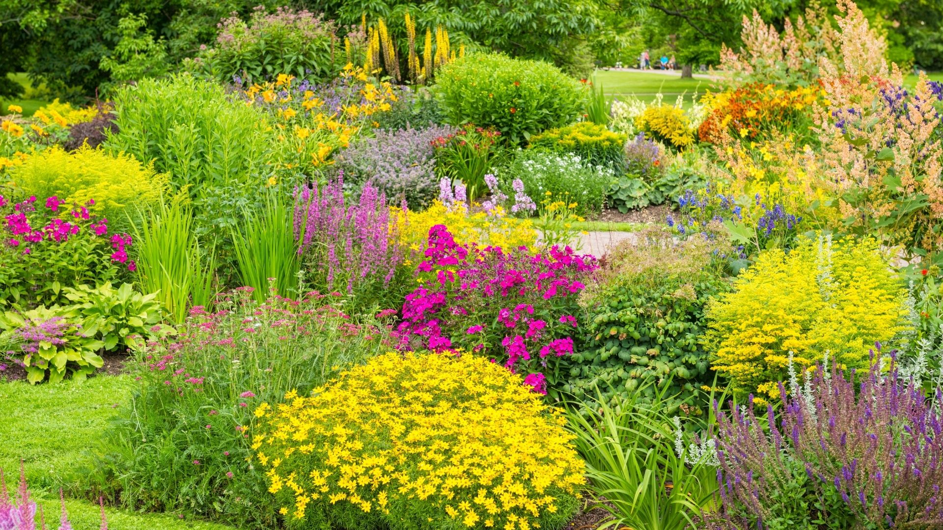 Garden Pro: Landscaping Services Dublin – Grass Cutting Experts