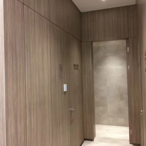 Fire Safe Decorative Wall Cladding Panels For Public Buildings 2