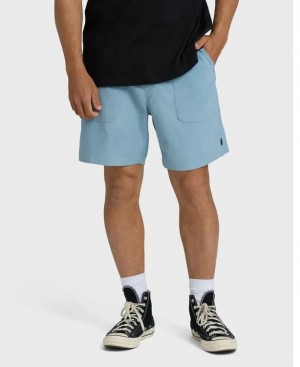 Billabong Mens Shorts