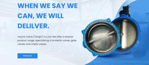 Veyron Valve Tianjin