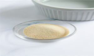 Professional Fish Gelatin Manufacturer