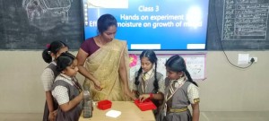 IMG 20240306 WA0037 jpg