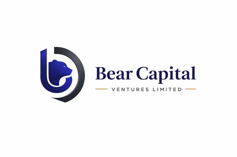 Bear Capital Ventures: Strategic Financial Solutions for Real Estate and Global Infrastructure Projects