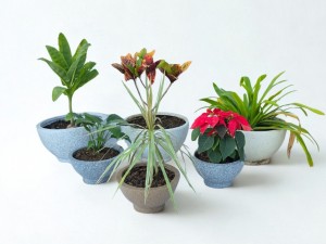 Plastpot Sets New Standard in Premium Landscape Design with 2026 Collection Launch