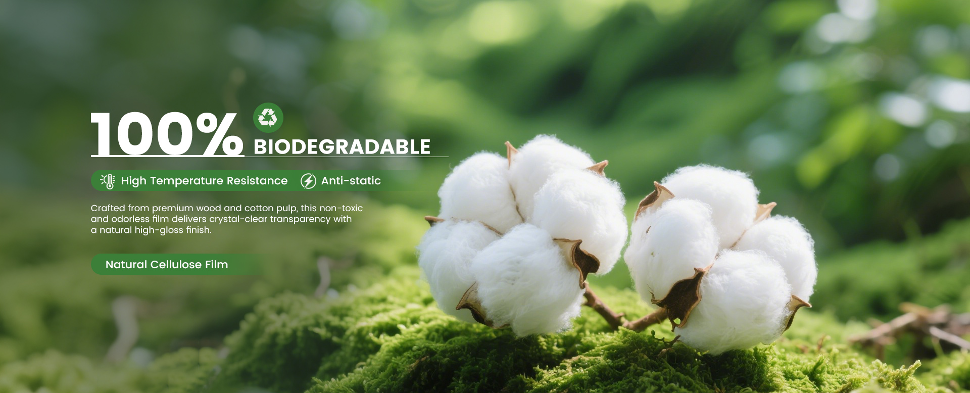 Global Leading Cellulose Film Manufacturer