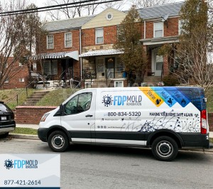 FDP Mold Remediation