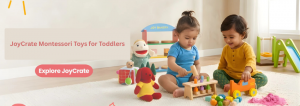 JoyCrate Montessori Toys for Toddlers