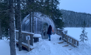 Luxury PC Glamping Pods