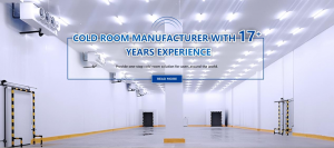 Cooler Refrigeration Equipment