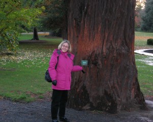 A Nutty World on the Edge of the Rain Forest