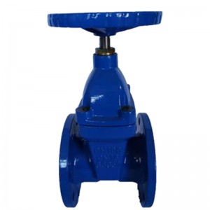 Soft Seal Gate Valve