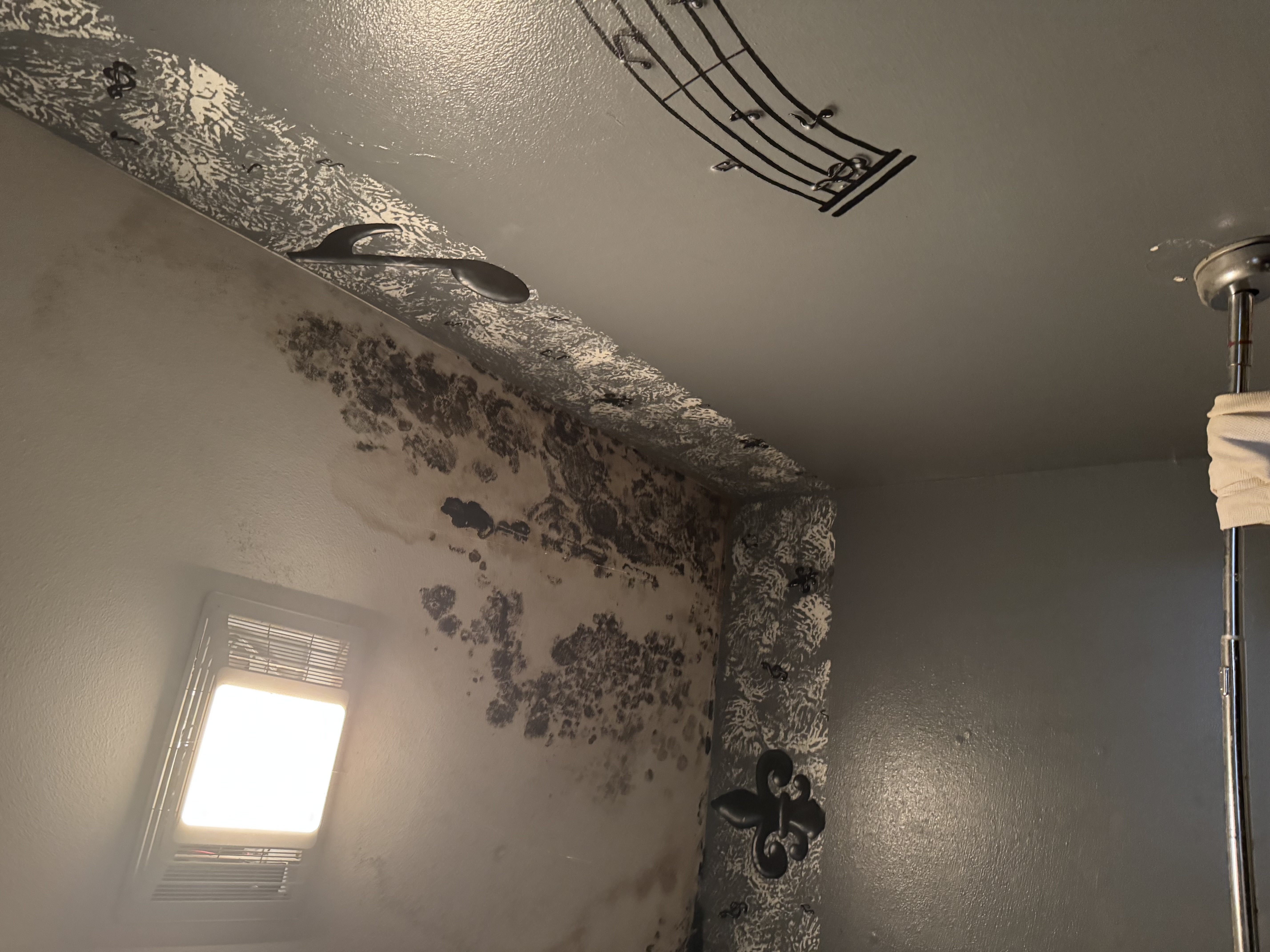 mold removal baton rouge louisiana mold removal baton rouge louisiana