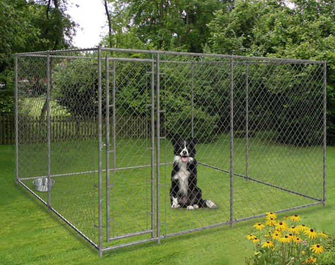 dog kennel dog kennel