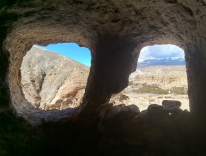 Tiji Festival Mustang