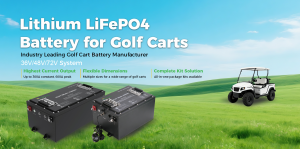 professional golf cart LiFePO4 battery supplier