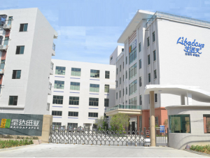 Insights from the Canton Fair: Trends Observed by a China Kitchen Paper Towel Roll Manufacturer