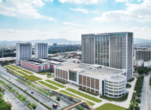 LEELEN s Position in the Global Market