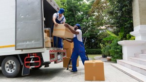 Movers And Packers