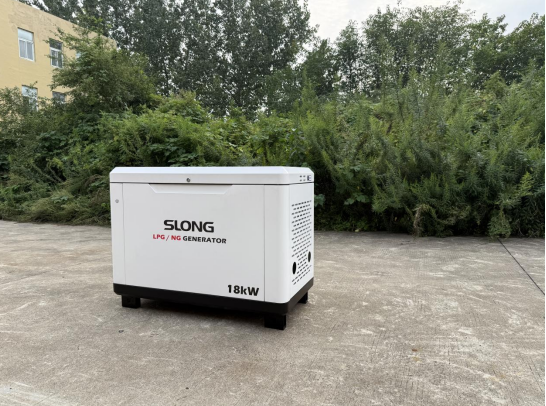 Global Leading Safe Reliable Dual Fuel NG Generators
