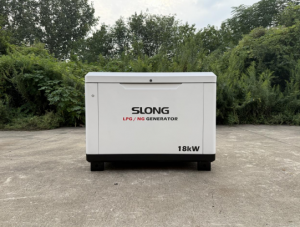 Top Dual Fuel Generators