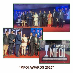 MFOI Awards 2025