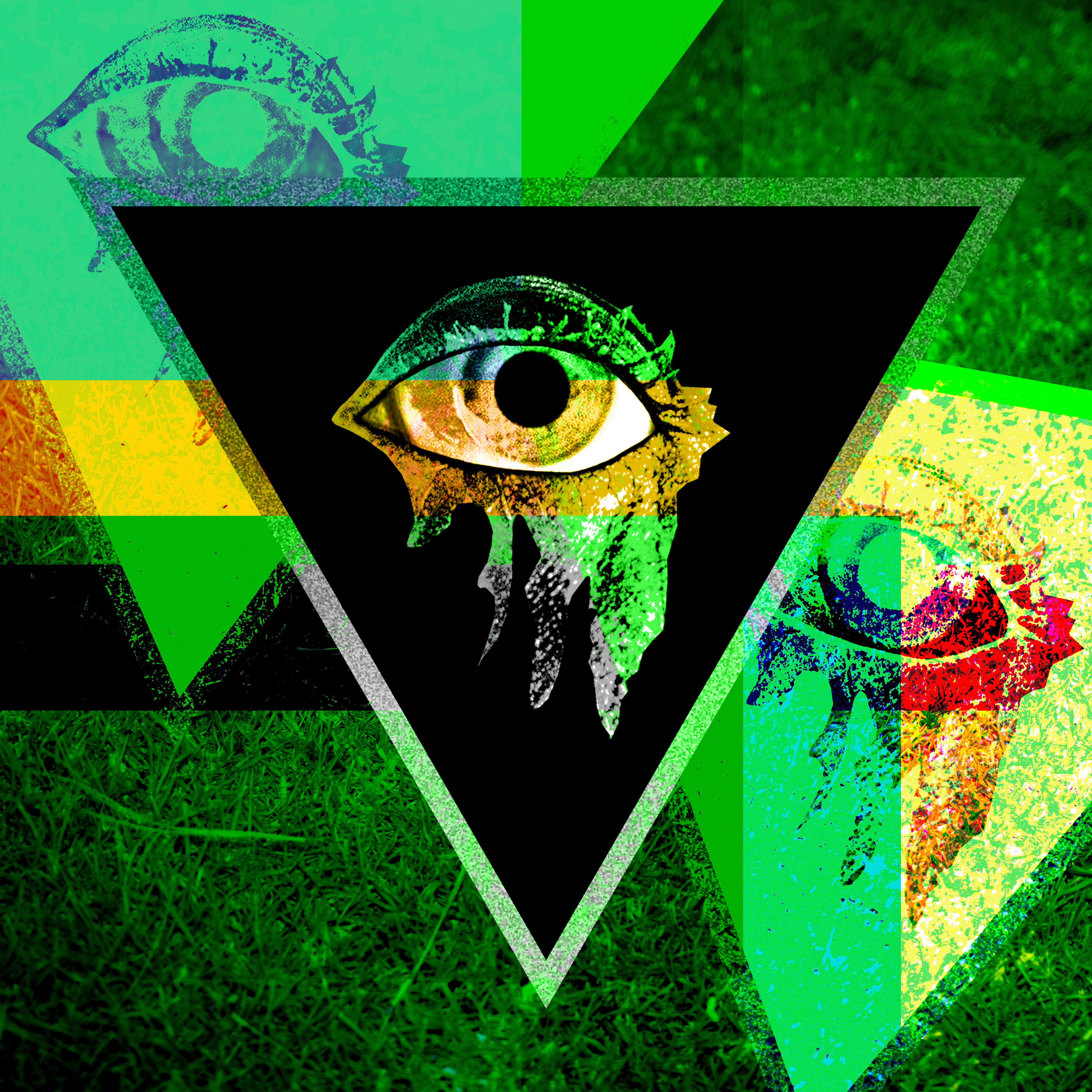 Sensor Noise  Think on the Green Grass Cover Art