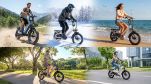 high efficiency 2000W rated single motor system