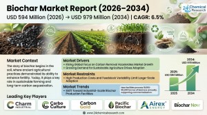 Biochar Market Size & Forecast 2026